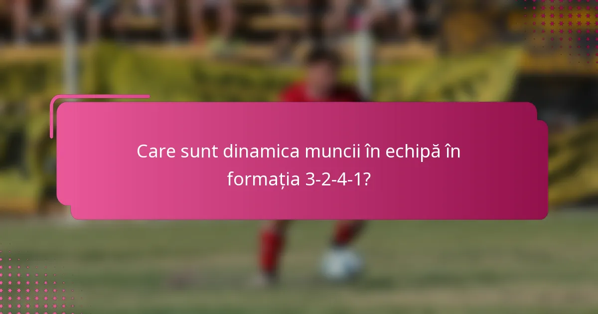 Care sunt dinamica muncii în echipă în formația 3-2-4-1?
