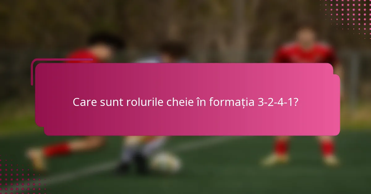 Care sunt rolurile cheie în formația 3-2-4-1?