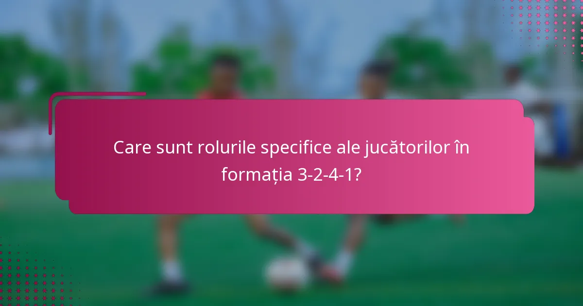 Care sunt rolurile specifice ale jucătorilor în formația 3-2-4-1?