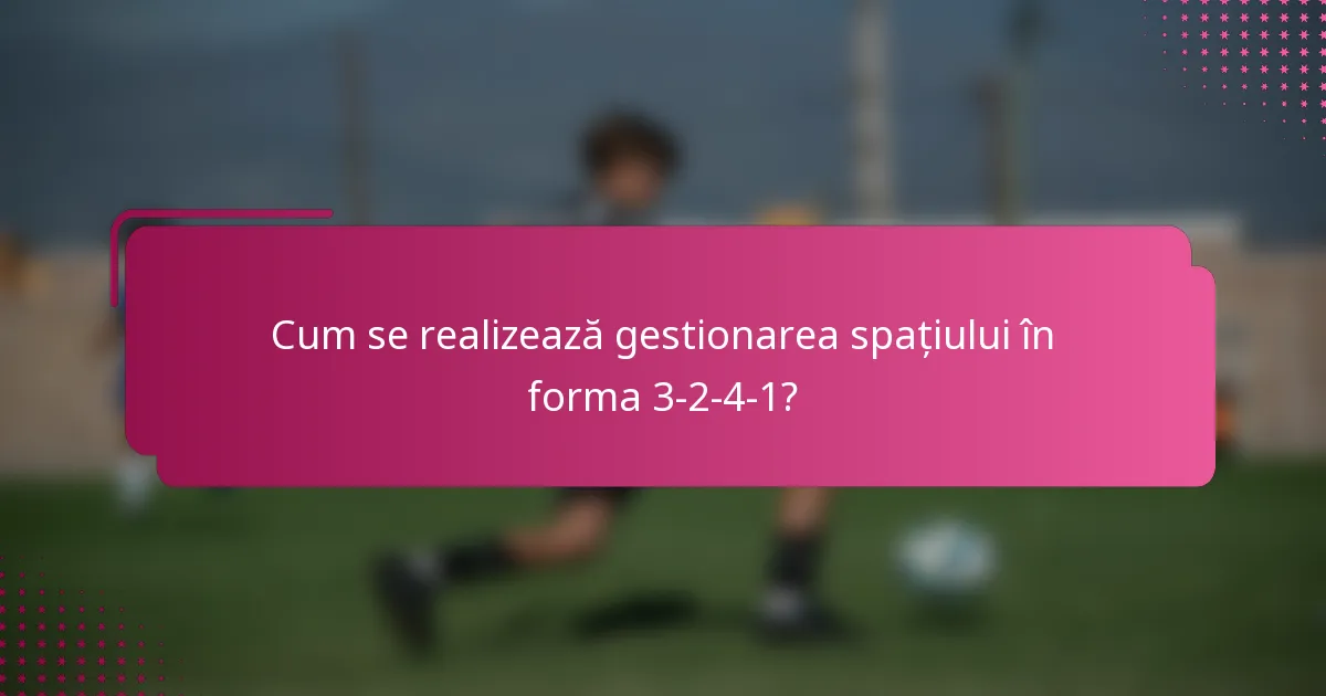 Cum se realizează gestionarea spațiului în forma 3-2-4-1?