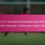 3-2-4-1 Formarea Interdependențelor Rolurilor: Sinergie, Colaborare, Suport Mutual