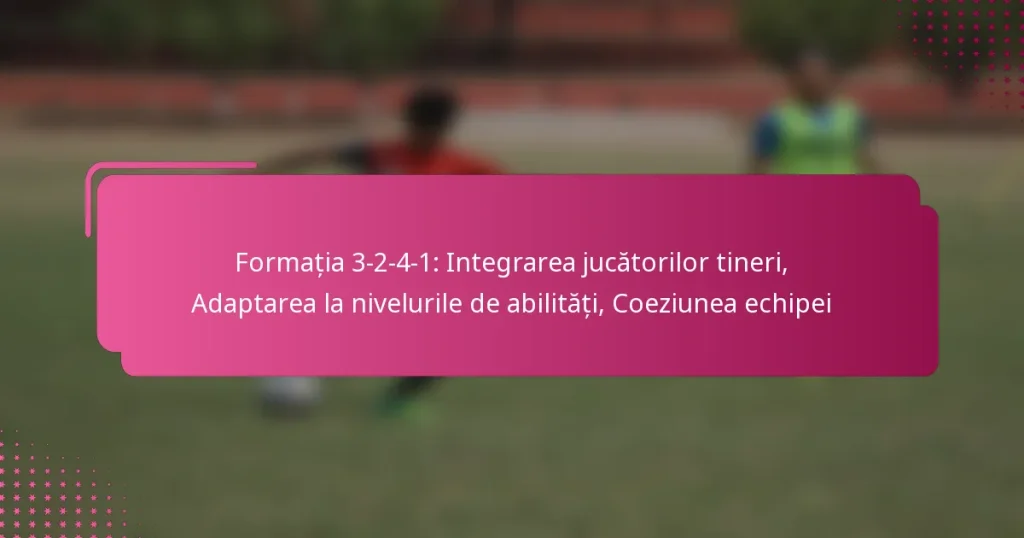 Formația 3-2-4-1: Integrarea jucătorilor tineri, Adaptarea la nivelurile de abilități, Coeziunea echipei